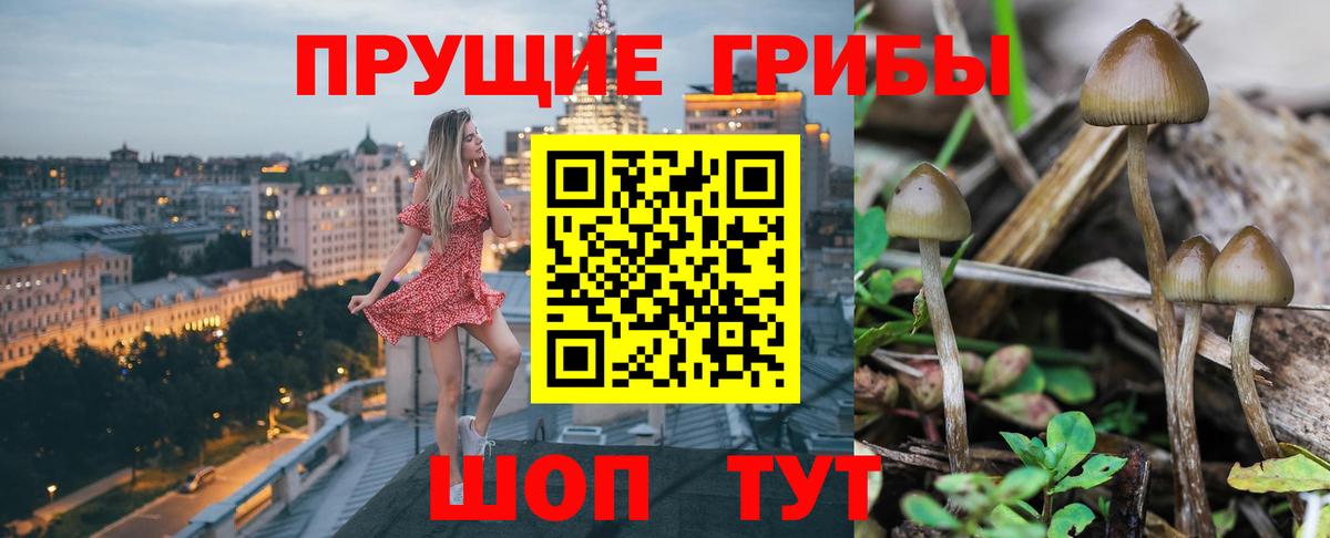 Галлюциногенные грибы мицелий  цена наркотик  Ковров  Вход с VPN 